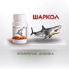 Снимка на Шаркол х 60 капсули /Буров/